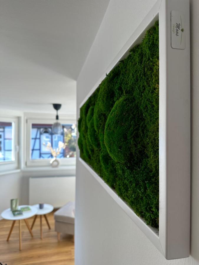 Turm.Blick Apartment Goslar Exterior photo